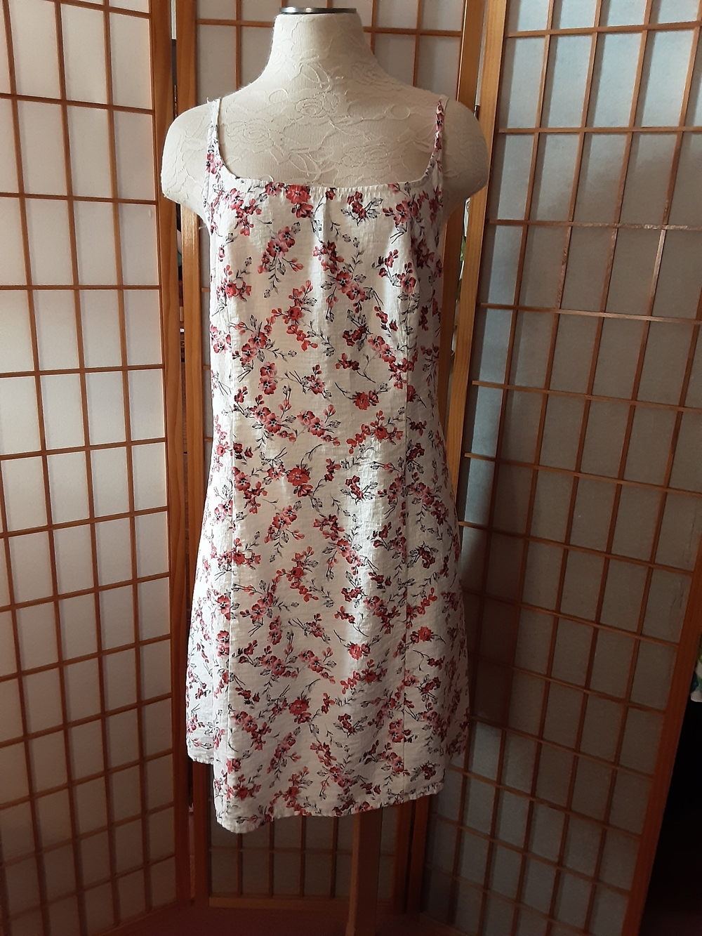 "a new day"  Ivory Slip Dress with Red Floral Print